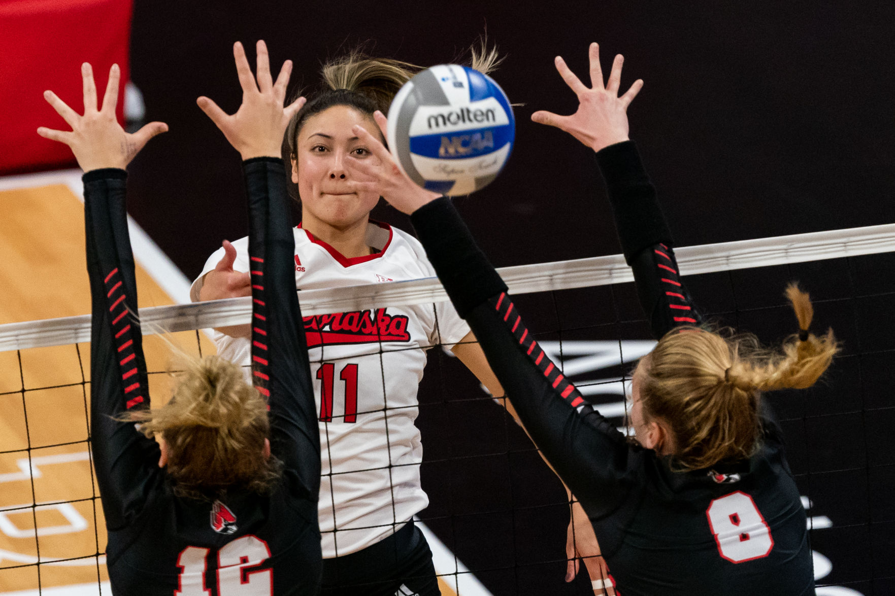 NCAA Volleyball Playoffs Photo No. 7